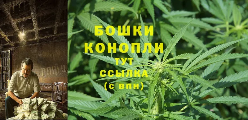 Канабис OG Kush  купить наркотики цена  Севастополь 